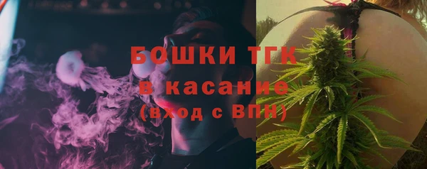 шишки Аркадак