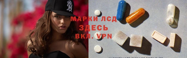 шишки Аркадак
