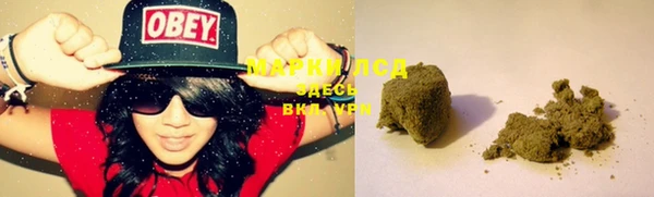 шишки Аркадак