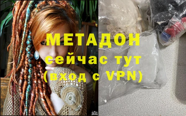 прущие грибы Арсеньев