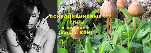 прущие грибы Арсеньев