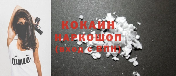 шишки Аркадак