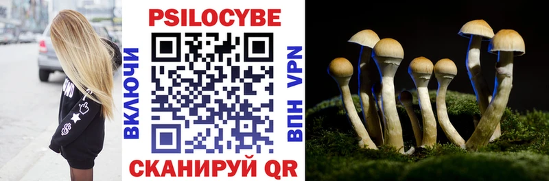 Псилоцибиновые грибы MAGIC MUSHROOMS  Сурск 